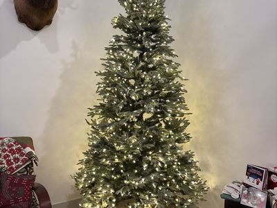 9ft Balsam Hill Frosted Fraser Fir - Pre-Lit LED