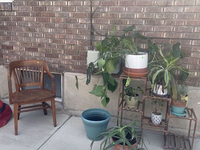 BALLPARK YARD SALE!