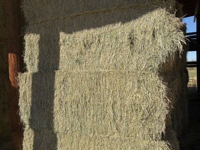 1/2 Ton Grass Hay