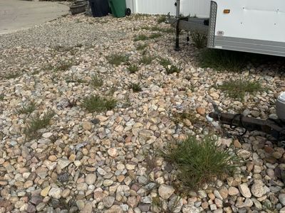 Weeds Removal 805-8164334