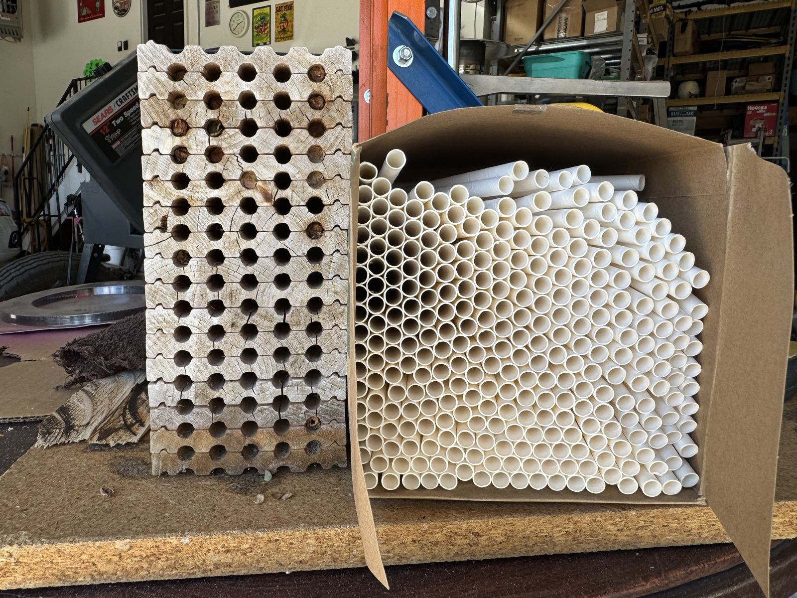 Bee house -Paper Straws