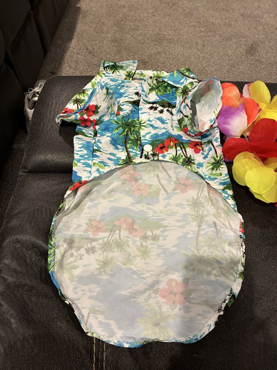 Main image 2