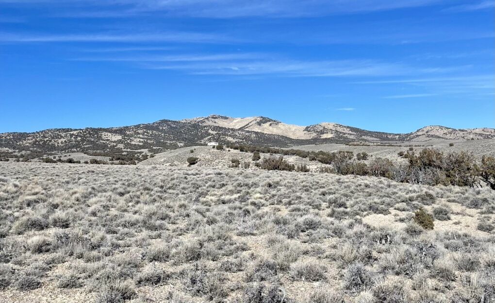 20 Acres of Raw Land - North Nevada Foothills