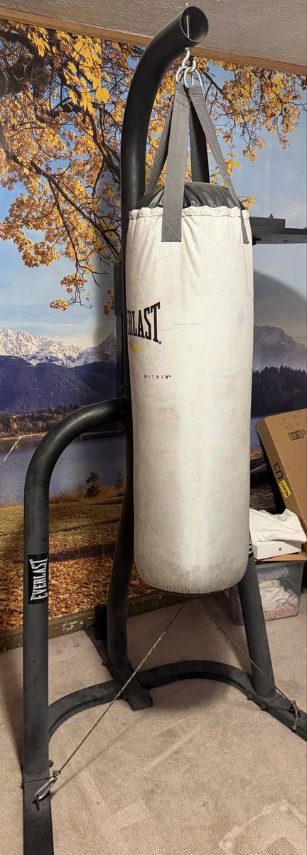 Punching bag and stand