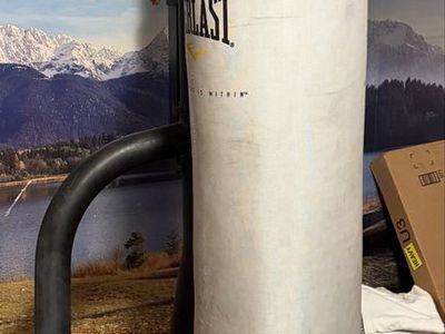 Punching bag and stand