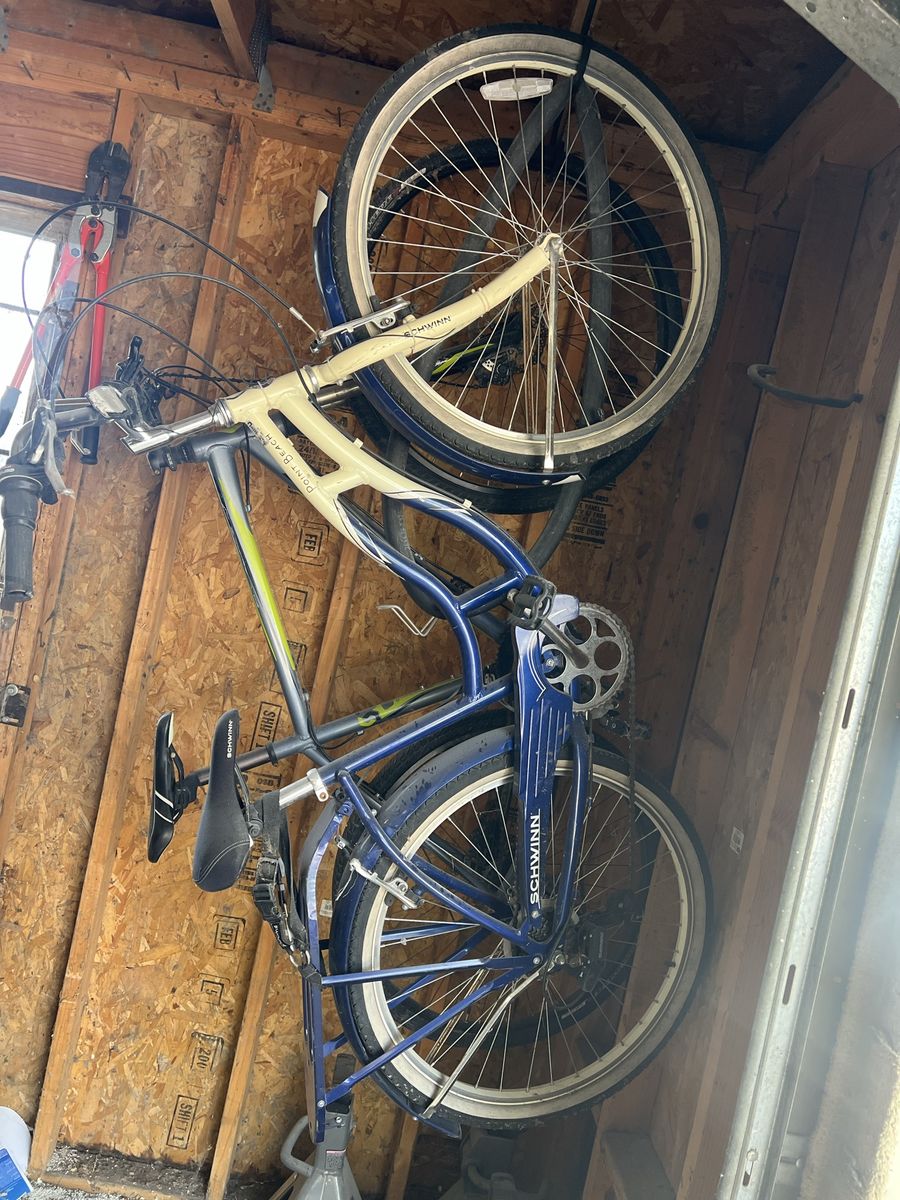 Schwinn Beach Cruiser
