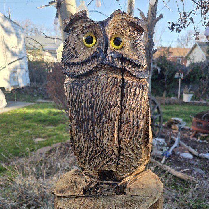 Chainsaw-carved Owl (#1)