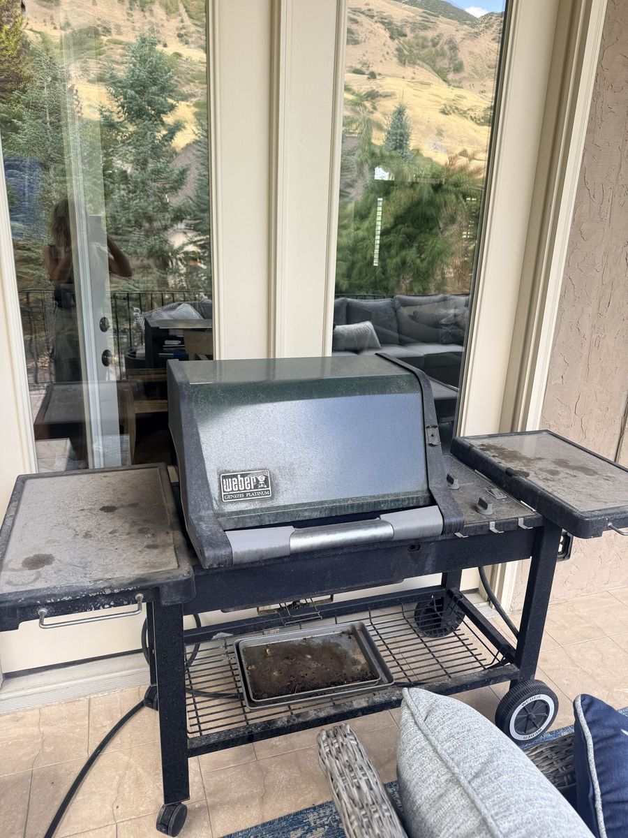 Weber Genesis Platinum Natural Gas Grill
