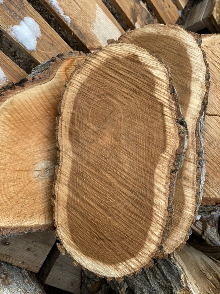 Logs Stumps Cookiea And More