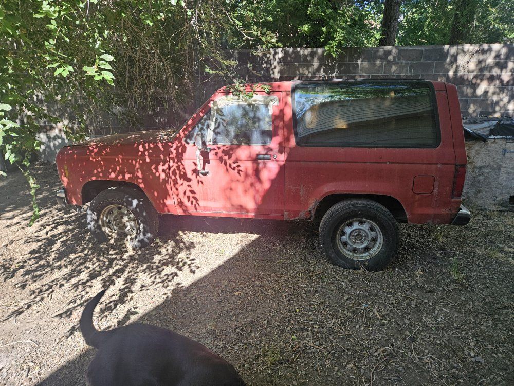 1987 ford bronco 2