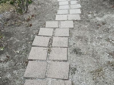 Patio stone walkway