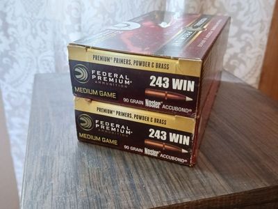 .243 Winchester
