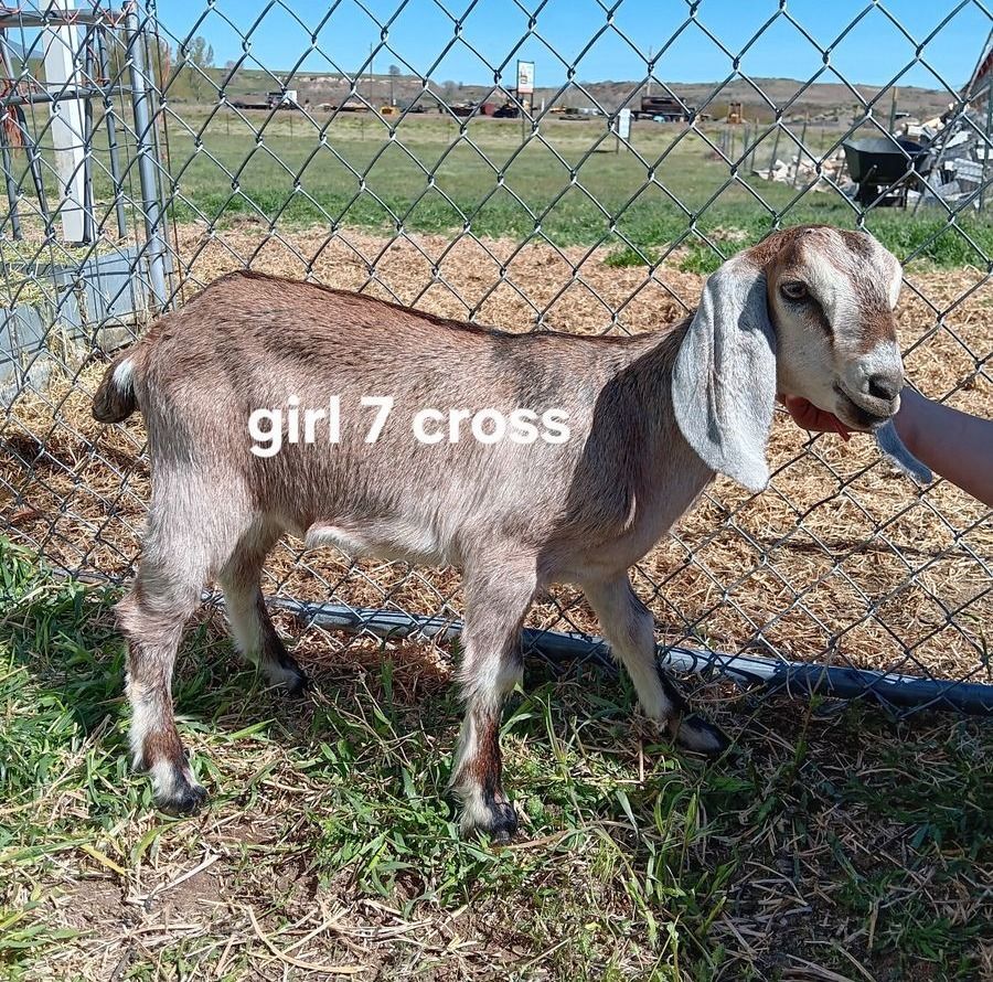 Main image 38