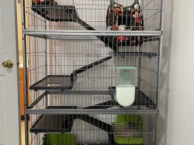 6ft Ferret/Small Animal Cage! Need Gone!!!