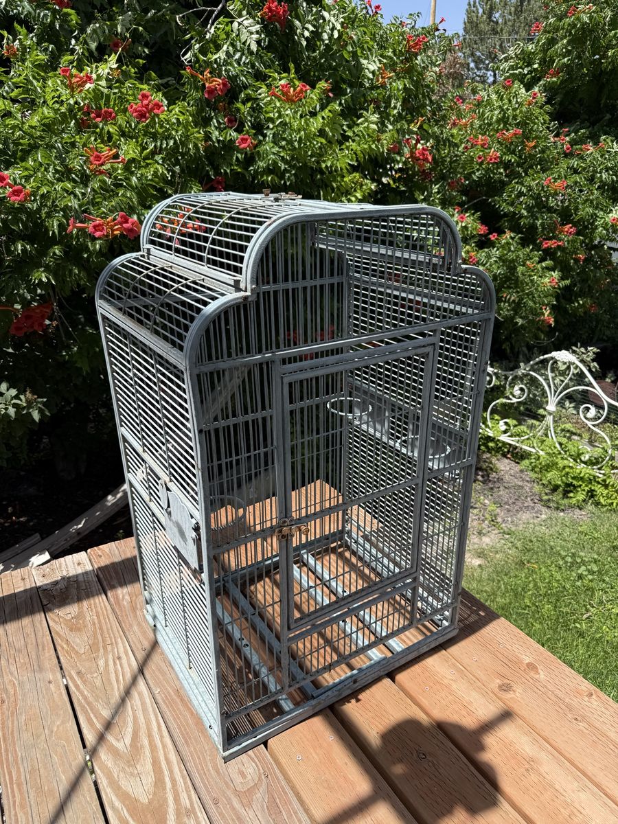 Bird Cage