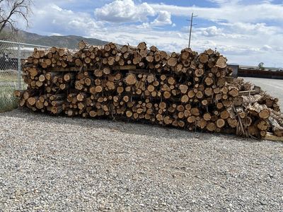 Cedar Posts