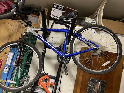 Vintage 17 inch Schwinn Mesa mountain bike