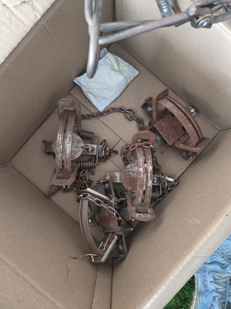 Main image 3