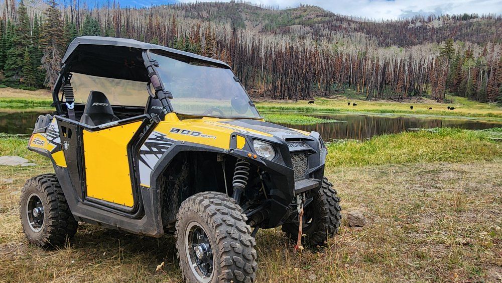 2011 Polaris RZR 800 trail