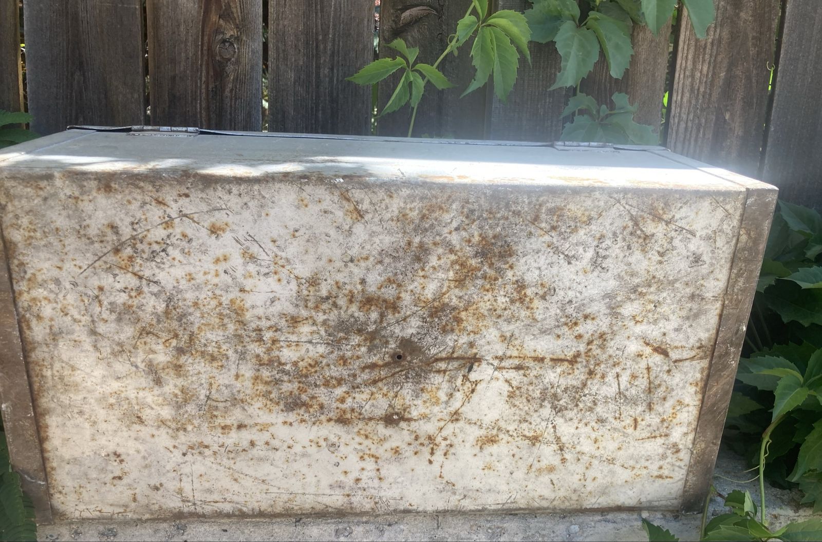 Main image 6