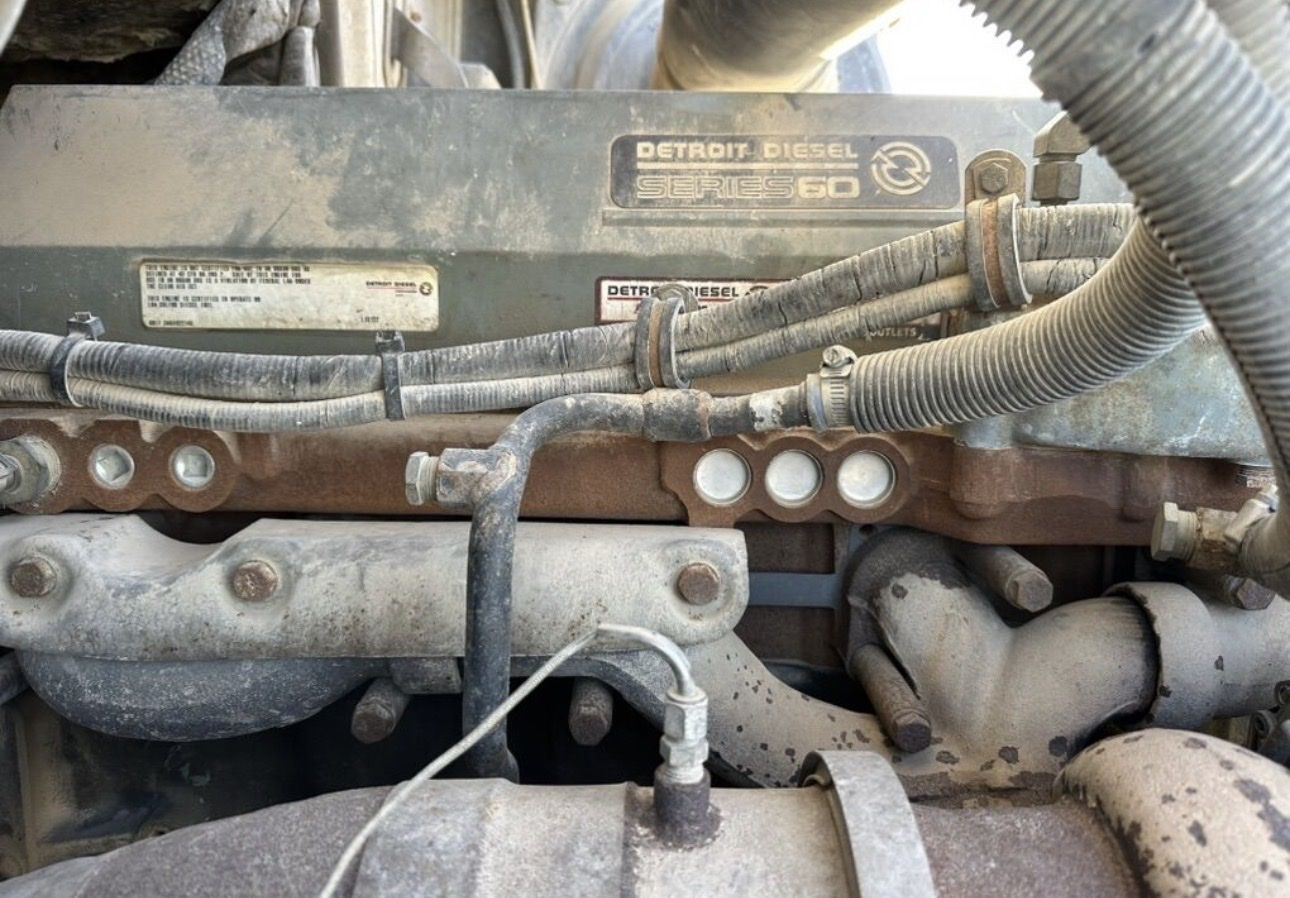Main image 6
