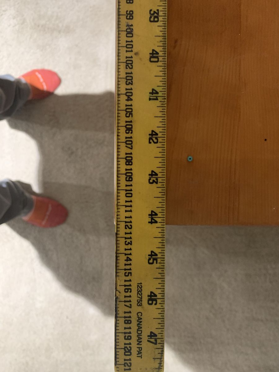Main image 4