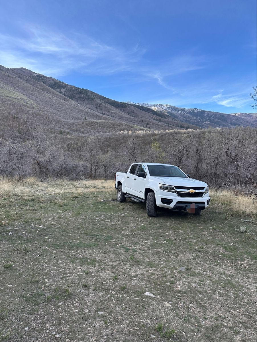 2015 Chevrolet Colorado 4WD WT