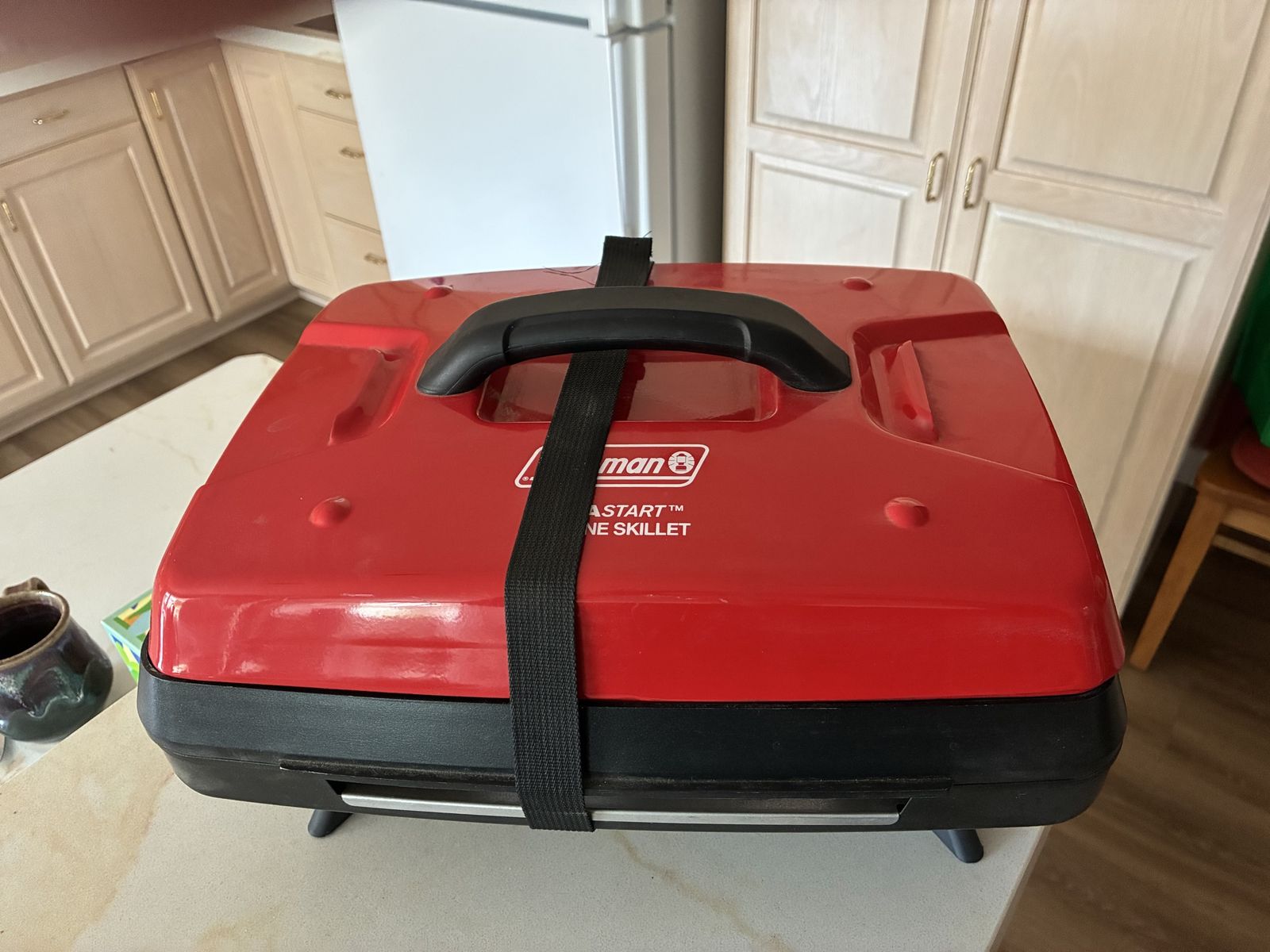 Coleman instastart propane frying pan