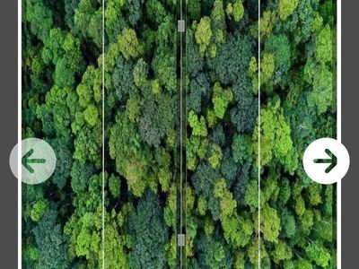 4 Panel Room Divider 4 ft x 64" (NEW)