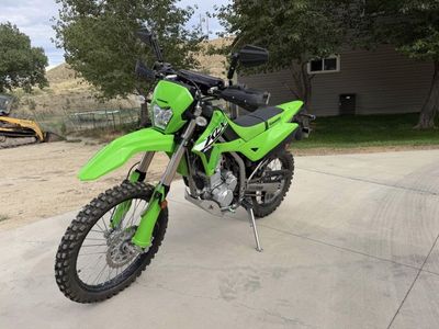 2024 Kawasaki KLX 300 Dual Sport Motorcycle - Green