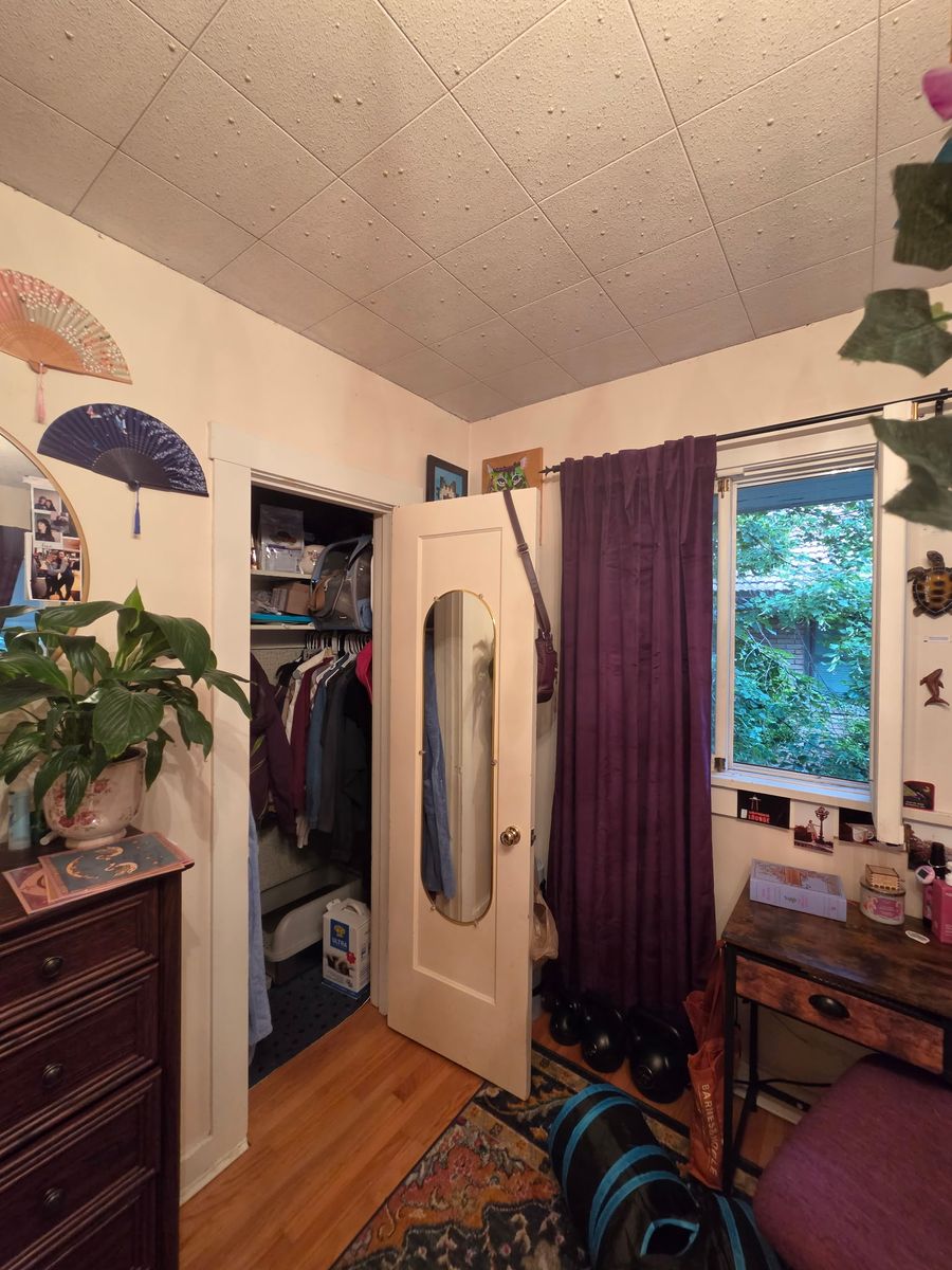 Main image 8