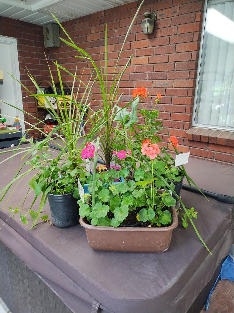 Murray multi family yard & plant sale 1007 East 6000 So. Saturday 9 til 1