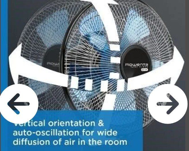 Main image 4