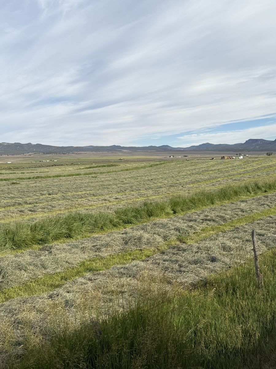 Need a home for your horse or livestock?