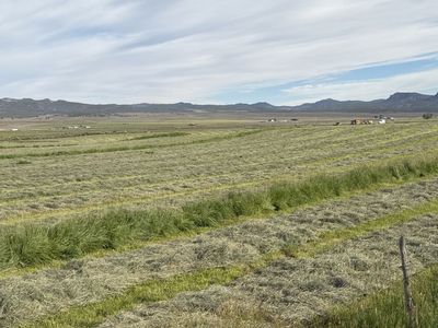 Need a home for your horse or livestock?