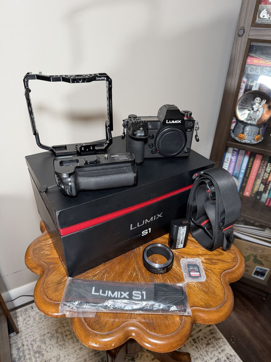 Mint Lumix S1 With Grip And Cage kit