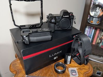 Mint Lumix S1 With Grip And Cage kit