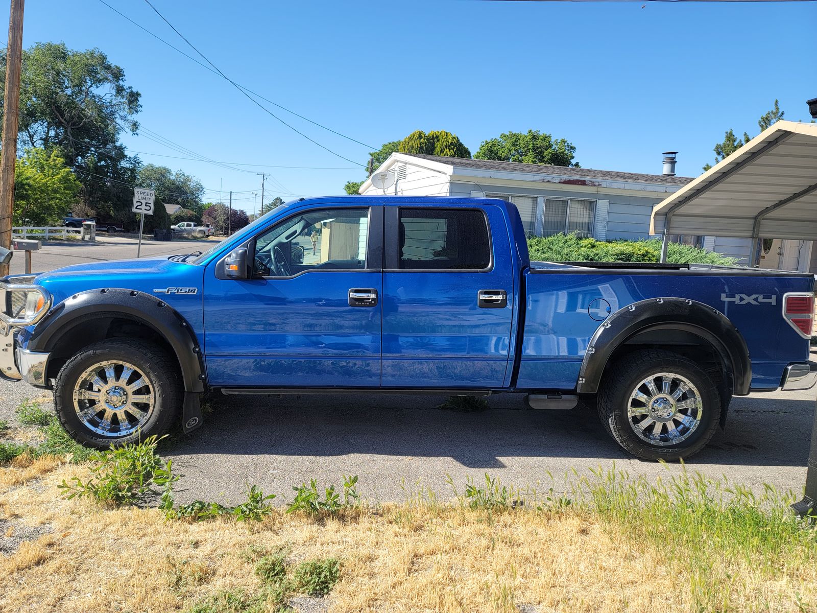 2009 Ford F-150 Platinum