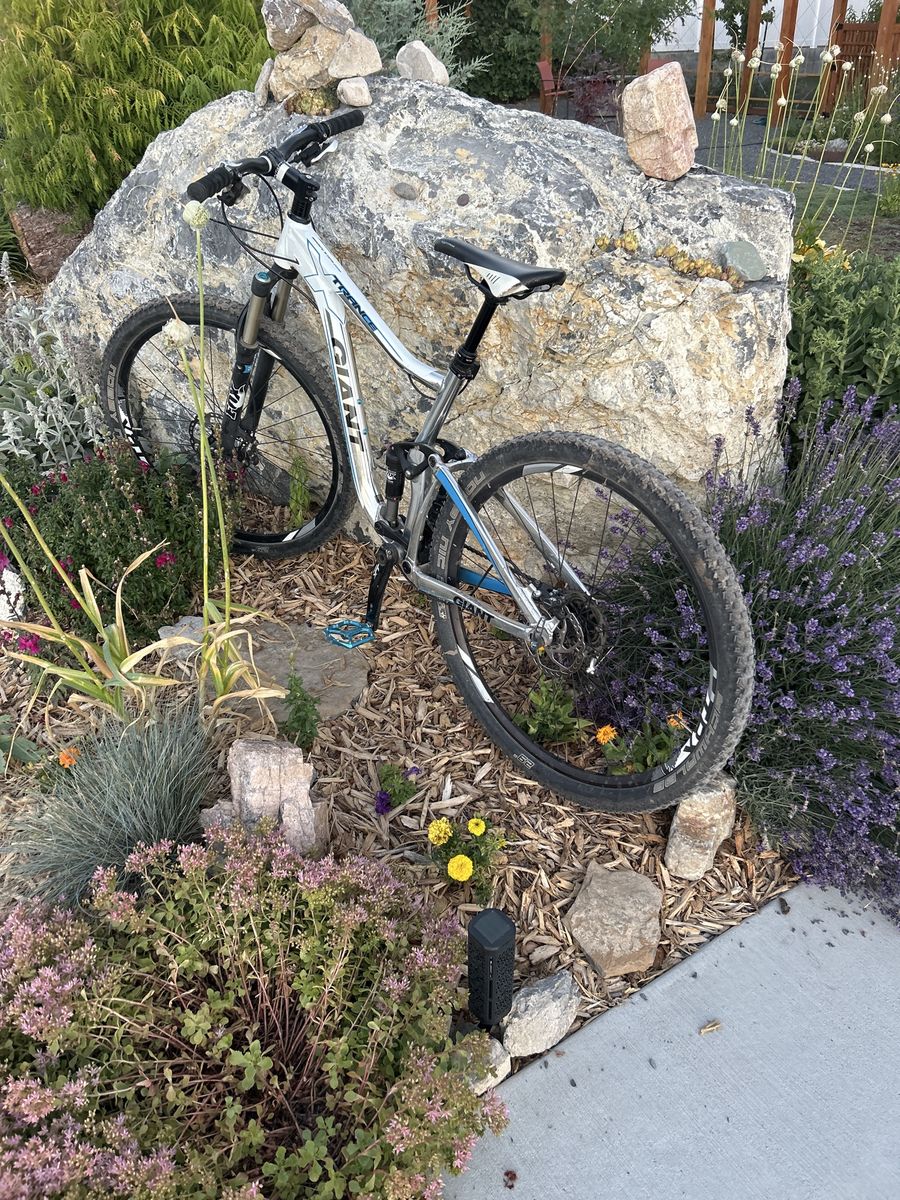 Giant Trance Mountain Bike - White/Blue Full Suspension