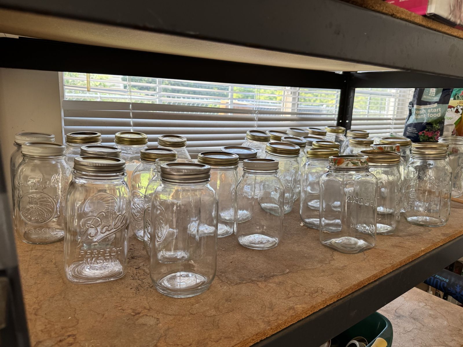 Canning Jars
