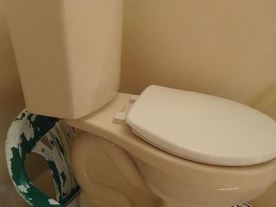 American Standard toilet with a round bowl, dual-flush system, and a new seat. Rinsed it off under a hot shower