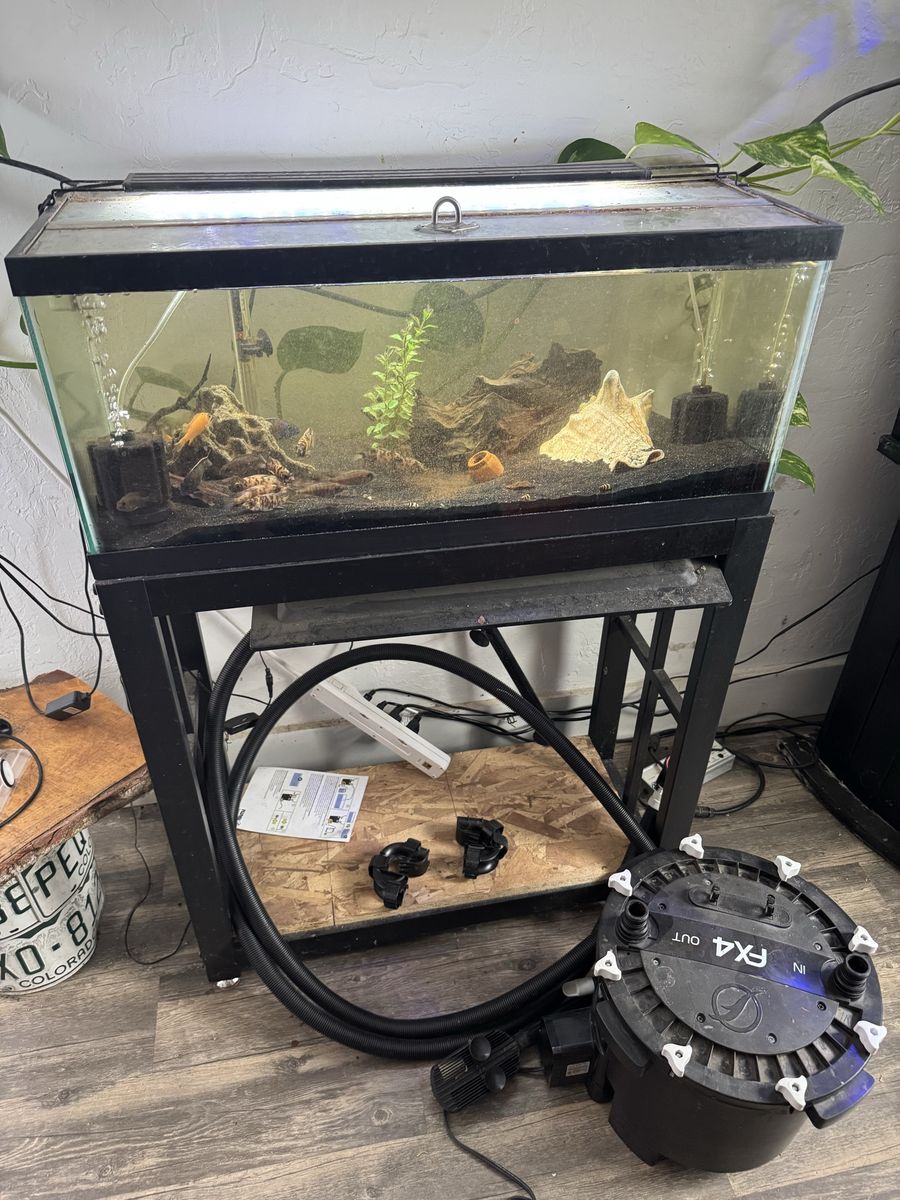 20 long with metal stand