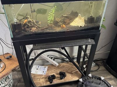 20 long with metal stand