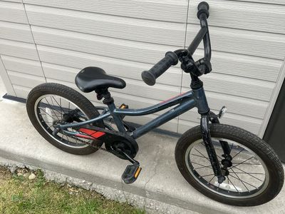 16” giant animator bike