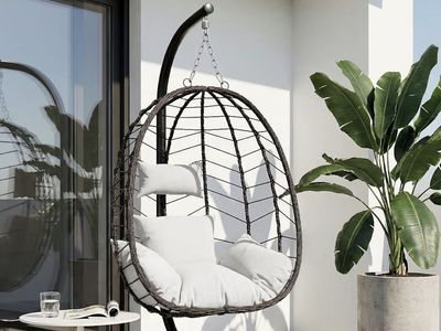 Hanging egg chair