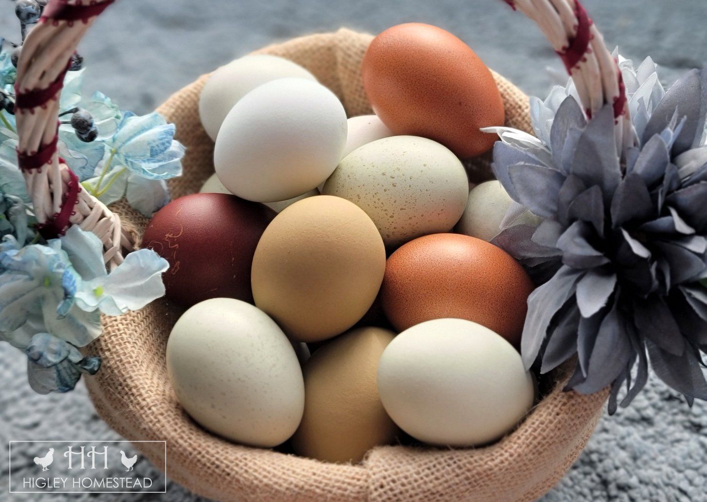 Farm Fresh Eggs