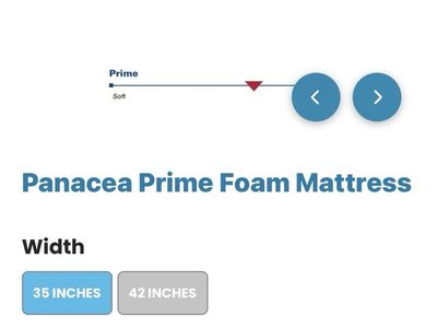 Panacea Prime Foam Mattress