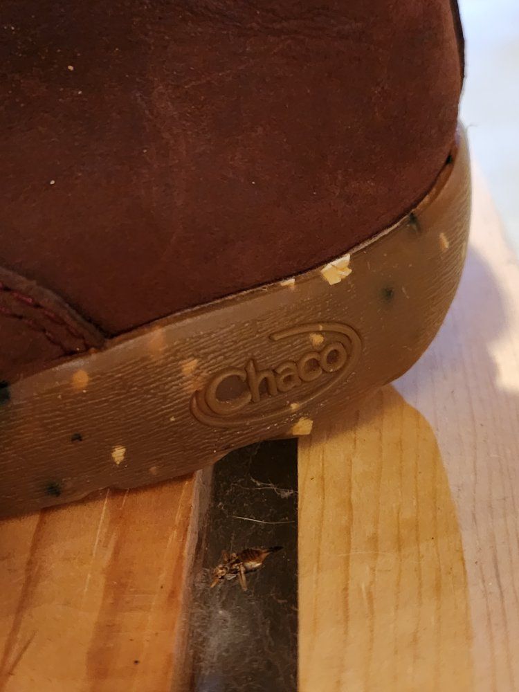 Main image 2