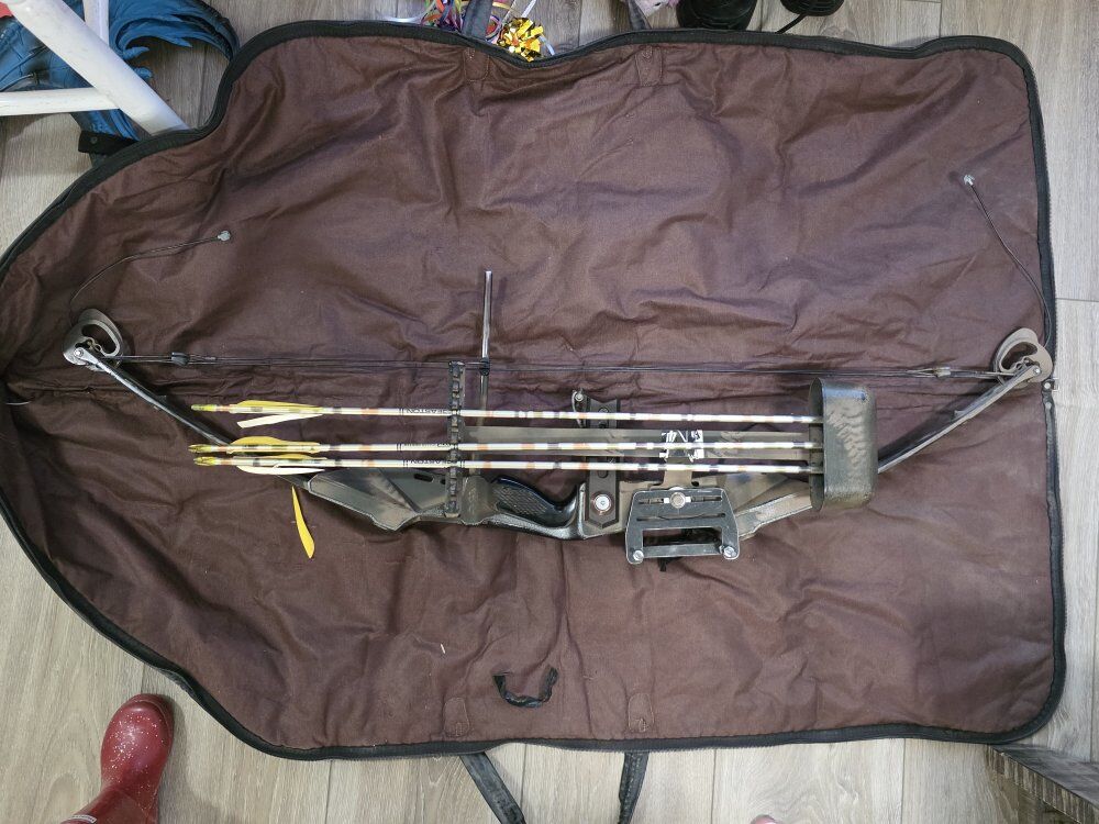 compound bow (needs restring)