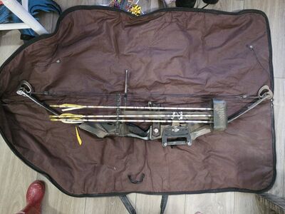 compound bow (needs restring)